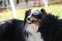 Bild 502